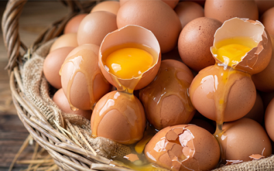 The 40% Rule: Do You Have Too Many Eggs in One Basket?